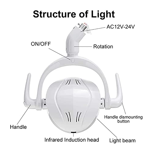 Luz de Examen bucal Dental, luz de Sensor de luz LED bucal Dental con 6 LED de Alta Potencia, lámpara de Examen de cirugía Dental de luz fría sin Sombras para Examen médico quirúrgico.