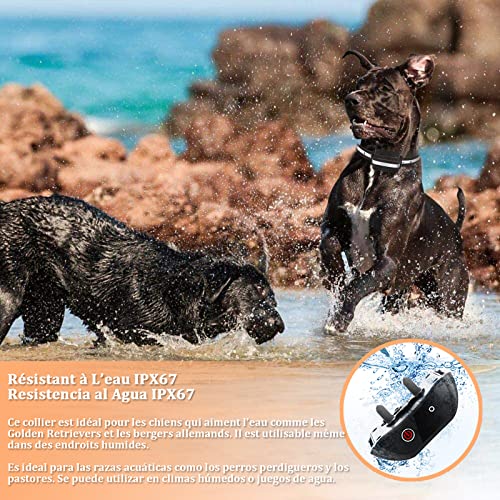 Meloive Collar de Adiestramiento para Perros con Mando a Distancia de 1000m, IPX67 Collar Anti-ladrido para Perros con Bloqueo de Teclado, 4 Modos de Adiestramiento Seguro con Pitido, Vibración y Luz