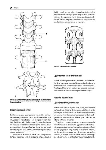 Método Maigne. Medicina Ortopédica Manual: dolor de origen vertebral, bases, diagnóstico, tratamiento