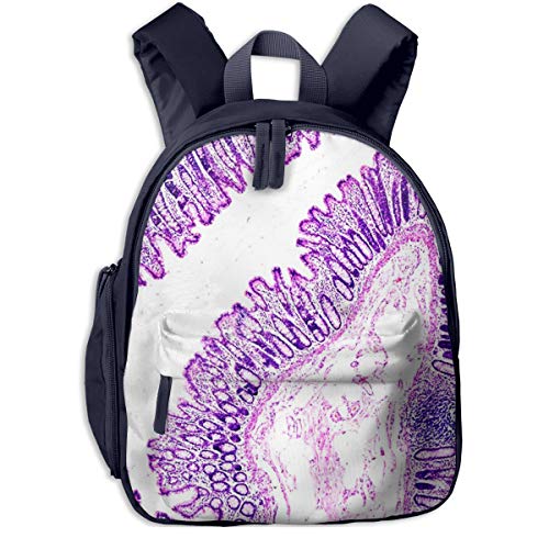 Mochilas Infantiles, Bolsa Mochila Niño Mochila Bebe Guarderia Mochila Escolar con Mucosa del intestino Grueso para Niños De 3 a 6 Años De Edad