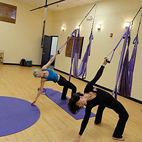 MQSS Hamaca de Yoga, Columpio Trapecio Set Yoga Trapeze para Yoga Aéreo, Colgarse y Aliviar el Dolor de Espalda, Accesorios de Montaje incluidos Gradient Purple