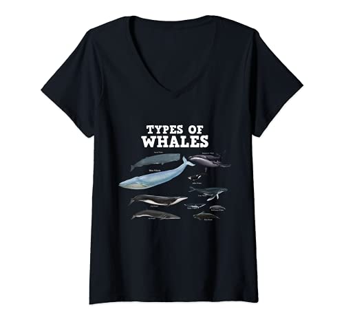 Mujer Tipos de ballenas salvar a las ballenas amante ballena jorobada Camiseta Cuello V