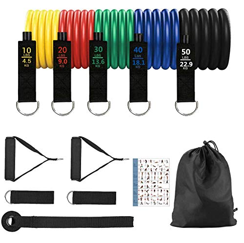 Newlemo Bandas Elásticas, Gomas Elasticas Musculacion 12 PCS - 5 Bandas de Resistencia,2 Manijas, 2 Correas para Tobillos, Anclaje para Puerta, Adecuado para Gimnasio en Casa