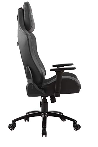 Newskill Takamikura - Silla gaming profesional (inclinación y altura regulable, reposabrazos ajustables, reclinable de 90º a 180º), Color Negra