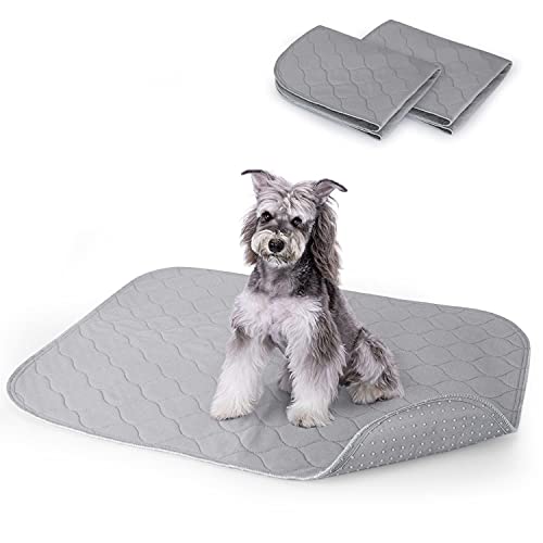 Nobleza - Empapadores de​ Adiestramiento para Perros, Toallitas de Entrenamiento para Mascotas, Reutilizable Alfombrilla Higiénica de Entrenamiento para Perros Gatos Grande, 75×89 CM /2 Pack