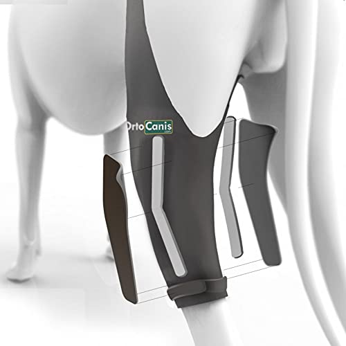 Ortocanis Inmovilizador de Rodilla para Perros con Rotura de ligamentos, luxación de rótula - 2 férulas Laterales limitan los Movimientos - 8 Tallas Disponibles - Talla M - Pata Izquierda