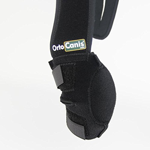 Ortocanis - Protector de Codo para Perros con artrosis, Lesiones, hygromas, Bursitis - 4 Tallas - Color Negro (M - Izquierdo)