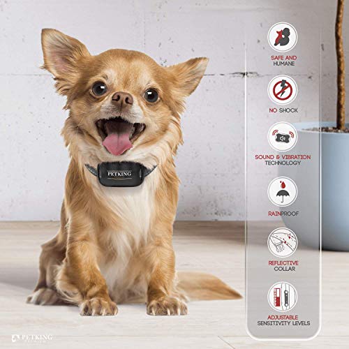 PetKing Premium Collar Antiladridos para Perros Pequeños y Grandes Collar Adiestramento Perros Collares Anti Ladridos Dispositivo Antiladrido Collare Entrenamiento Vibración