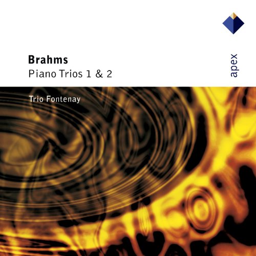 Piano Trio No. 1 in B Major, Op. 8: I. Allegro con brio