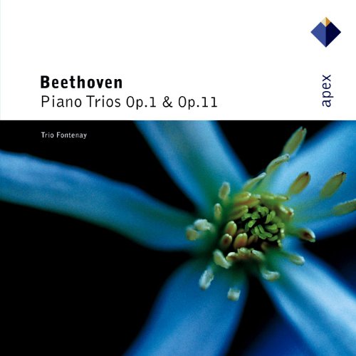 Piano Trio No. 4 in B-Flat Major, Op. 11 "Gassenhauer": I. Allegro con brio