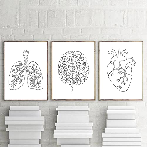 Póster artístico en lienzo de anatomía humana, pintura abstracta de cerebro, corazón, pulmón, pintura de pared en blanco y negro, imágenes artísticas impresas, decoración de la clínica