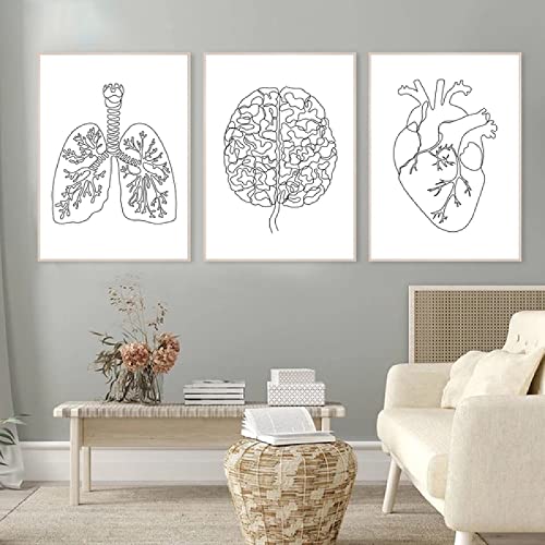 Póster artístico en lienzo de anatomía humana, pintura abstracta de cerebro, corazón, pulmón, pintura de pared en blanco y negro, imágenes artísticas impresas, decoración de la clínica