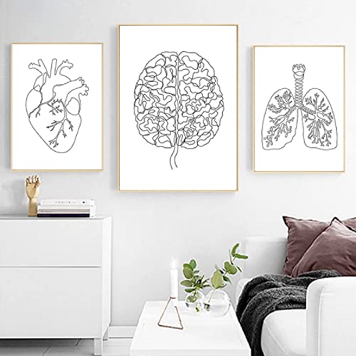 Póster artístico en lienzo de anatomía humana, pintura abstracta de cerebro, corazón, pulmón, pintura de pared en blanco y negro, imágenes artísticas impresas, decoración de la clínica