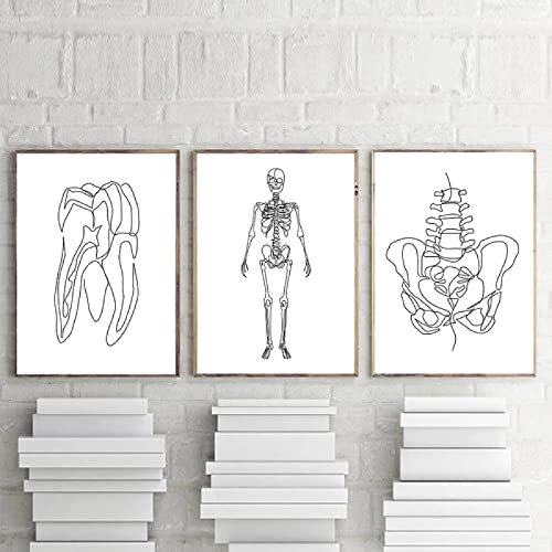 Póster de órganos abstractos anatomía humana esqueleto cerebro diente lienzo pintura impresión en blanco y negro imágenes de pared clínica decoración del hogar