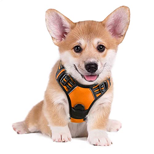 rabbitgoo Arnes Antitirones Perro Ajustable con Lineas Reflectantes Arnés Coche Perro Coche Adiesreamiento Arnes Perro Chaleco Transpirable con Asa Seguridad Easy Walk Pequeño Naranja