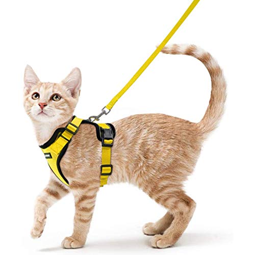 rabbitgoo Arnes Gato Antiescape,Arnés para Gato con Correa 150CM Arnes Gato Ajustable con Reflectantes de Tela de Malla Suave y Transpirable para Caminar,Entrenar,Gato Mediano y Pequeño S Amarillo