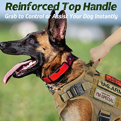 rabbitgoo Arnes Perro Grande No-Pull Arnes Perro Antitirones Táctico de Malla Transpirable Chaleco para Entrenamiento con 2 Anillos Ajustable con Sistema Molle para Entrenar Caminar Cazar Marrón M