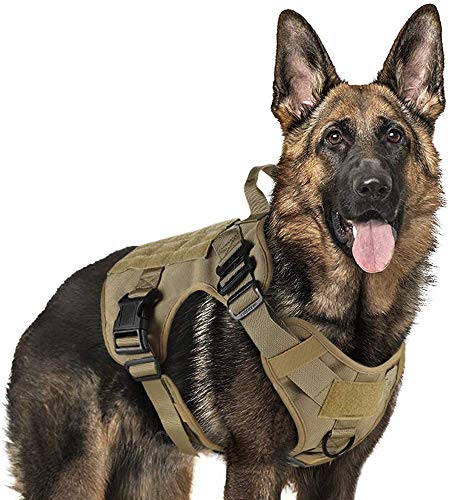 rabbitgoo Arnes Perro Grande No-Pull Arnes Perro Antitirones Táctico de Malla Transpirable Chaleco para Entrenamiento con 2 Anillos Ajustable con Sistema Molle para Entrenar Caminar Cazar Marrón M