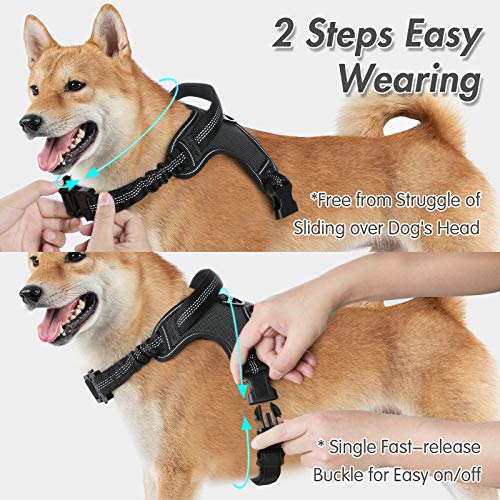 rabbitgoo Arnes Perros Arnés para Perros con Asa para Absorber Golpes Arnes Antitirones Perro Reflectante Arnés Ajustable con Cabestro para Pasear para Perros Pequeños Medianos Grandes, Negro M