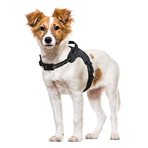 rabbitgoo Arnes Perros Arnés para Perros con Asa para Absorber Golpes Arnes Antitirones Perro Reflectante Arnés Ajustable con Cabestro para Pasear para Perros Pequeños Medianos Grandes, Negro M