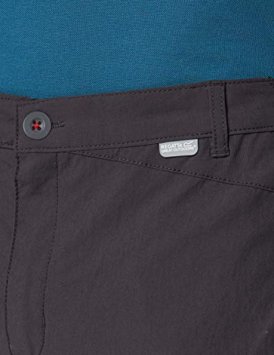 Regatta Highton - Pantalones Cortos de Senderismo para Hombre, Highton Repelente al Agua UV protección Active Senderismo, Hombre, Color Gris, tamaño 42 Pulgadas