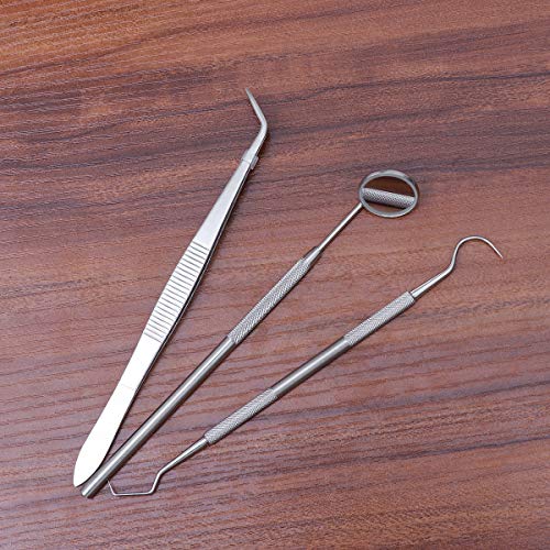 ROSENICE Paquete de 3 Herramientas de Higiene Dental Instrumentos de Acero Inoxidable para Limpieza de los Dientes