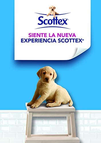 Scottex Original Papel Higiénico - 48 Rollos