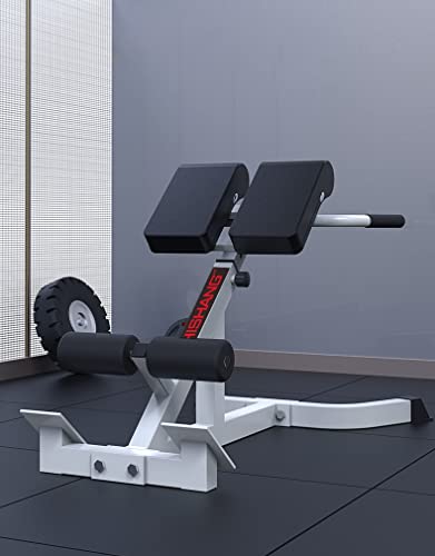 Silla Romana Banco de hiperextensión trasera Silla romana para gimnasio en casa, Tarea pesada Ajustable Extensión de espalda Equipo de ejercicio para el ejercicio de entrenamiento abdominal, Cargas 44