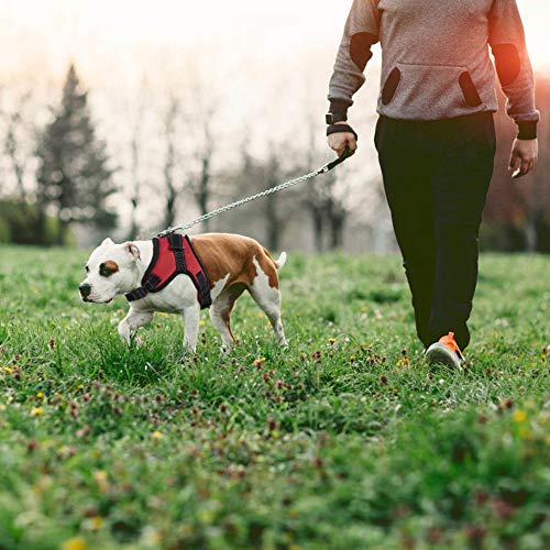 SlowTon Arnes para Perro, NinguÌ n tirón Chaleco del Perro arnés - Chaleco Acolchado del Cuerpo del Perro - Control de la Comodidad para los Perros Grandes en el Entrenamiento Que Camina