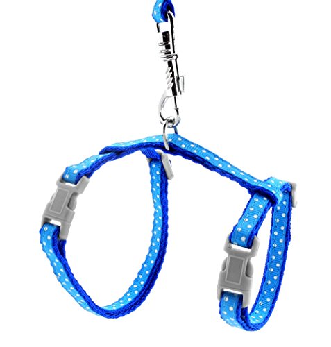 SMALLLEE_Lucky_Store Arnés Correa y Collar Ajustable de Lunares para Gato Correa de Paseo para Perro Pequeño Gatos y Conejos Azul