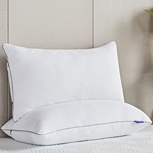 SuiLong Almohada de Microfibra Estilo de Edición de Lujo Cómodo y Transpirable, 80 x 80 cm Almohada de Hotel Hipoalergénicas y Antiácaros Desmontable con Cremallera - 1 Pcs (2 Unidad 40X80CM)