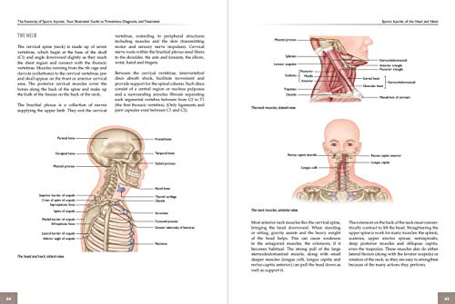 The Anatomy of Sports Injuries, Second Edition: Your Illustrated Guide to Prevention, Diagnosis, and Treatment