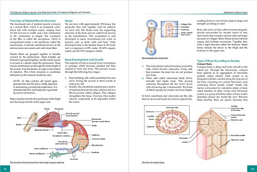 The Anatomy of Sports Injuries, Second Edition: Your Illustrated Guide to Prevention, Diagnosis, and Treatment