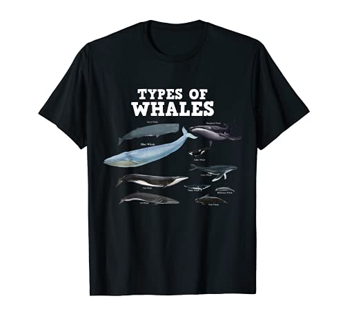 Tipos de ballenas salvar a las ballenas amante ballena jorobada Camiseta