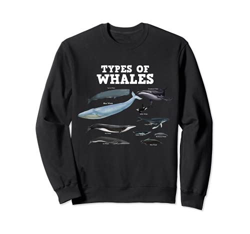 Tipos de ballenas salvar a las ballenas amante ballena jorobada Sudadera