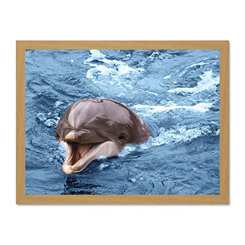 Wee Blue Coo MP Nature - Póster Enmarcado de Botella con Nariz de delfín y Ballena Sonriente (45,7 x 61 cm)