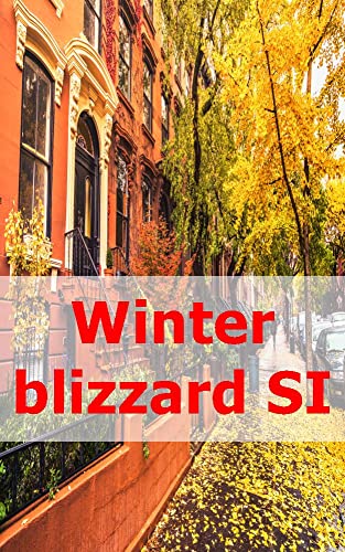 Winter blizzard SI