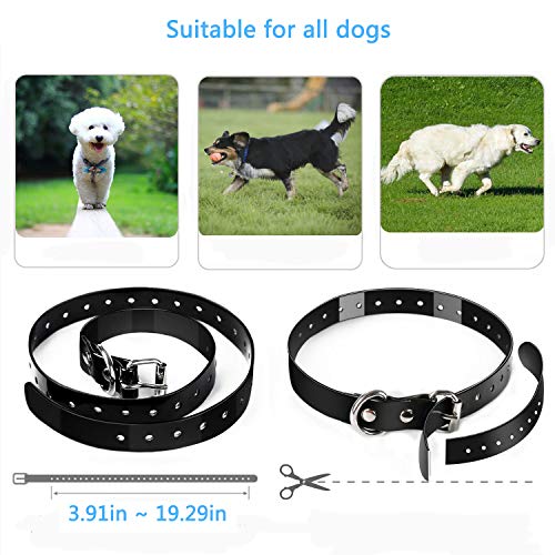 Wodondog Collar Adiestramiento Perros Impermeable y Recargable Remoto de 500 Metros