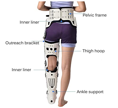 XBSXP Fractura médica de la Pierna y parálisis de la extremidad Inferior Articulación de la Cadera Soporte de fijación para Caminar, Alivio del Dolor Inmovilizador médico Universal Sopor