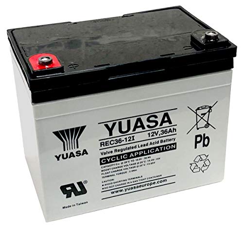 Yuasa - Batería Plomo AGM REC36-12I 12V 36Ah M5-F