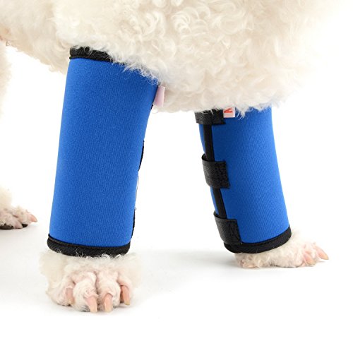 Zunea Dog Canine Pierna Delantera Wrap Protector 2Pack Pet Compression Sleeve Protector Soporte de muñeca Ajustable para Herida Esguince Curación, pérdida de Estabilidad causada por Artritis Azul S