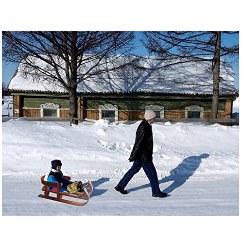 ZXNQ Niños/jóvenes Trineos de Nieve Trineo de esquí de Madera Maciza Coche de Hielo Trineo Trineos Tabla de Snowboard - 92 * 30 * 40cm