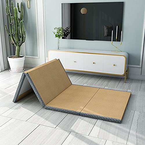 ZYYH Colchón Plegable, colchón de Fibra de Coco Natural 3e Coconut Palm Cojín de colchón ortopédico Colchón portátil Topper Tatami japonés Tapete de Piso-a 120x190cm (47x75inch)