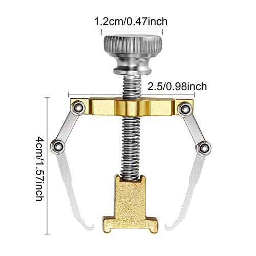 2 Piezas Levantadores de Uñas Encarnadas Herramienta de Uña Encarnada Alicate de Dedo Herramienta de Cuidado de Pie de Acero Inoxidable para Paroniquia (Oro)