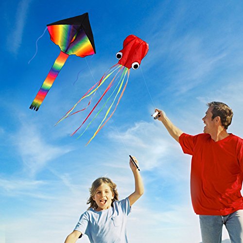 2pcs Cometa de ZoomSky de Iris de Triangular y Pulpo bagre Color Vario Rainbow de Volar con Viento Suave para los niños y Adultos (Triangular y Pulpo)