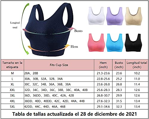 3 Piezas Sujetador Deportivo para Mujeres Sin Costuras Yoga Racerback Top con Almohadillas Extraíbles Ultimate Corriendo Gimnasio Ropa (5XL, 6 Piezas)