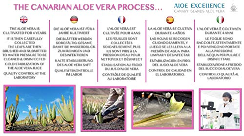 ALOE EXCELLENCE – Crema Regeneradora de Aloe Vera con Aceite de Rosa Mosqueta | Crema Facial y Corporal | Protege y Cuida la Piel | Ideal Pieles Sensibles |100% Natural, Made in Canarias | 300 ml