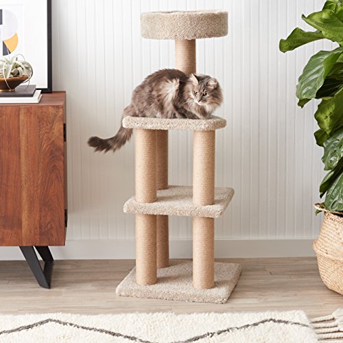 Amazon Basics - Árbol de gatos con postes rascadores - Grande