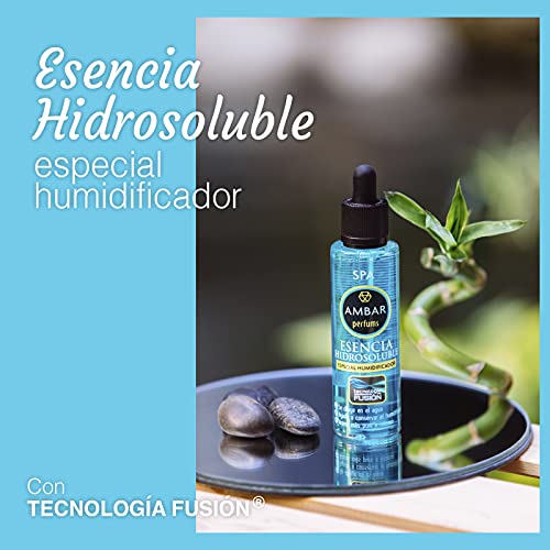 Ambar Perfums 26040110 Esencias Naturales Hidrosolubles, Tecnología Fusión para Humidificador. Tamaño XL, 5 uds de 50ml, Transparente, 50 ml