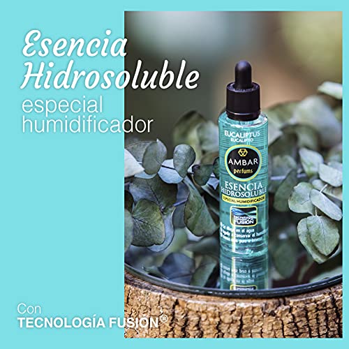 Ambar Perfums 26040110 Esencias Naturales Hidrosolubles, Tecnología Fusión para Humidificador. Tamaño XL, 5 uds de 50ml, Transparente, 50 ml